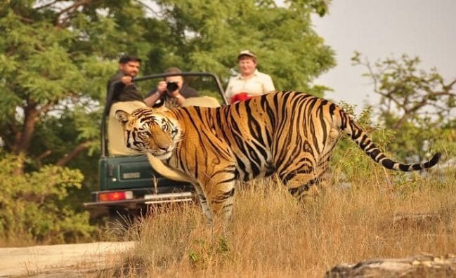 Jim Corbett Tour Package 2 Nights 3 Days