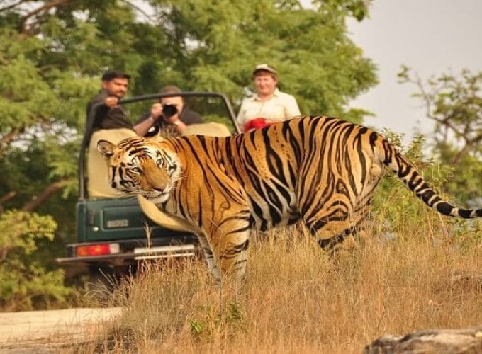 Jim Corbett Tour Package 2 Nights 3 Days