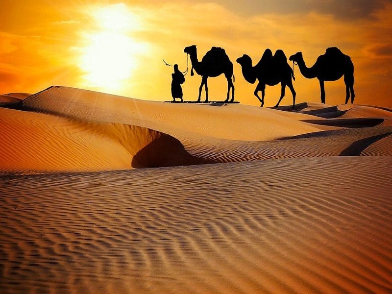 Jaisalmer Tour Package
